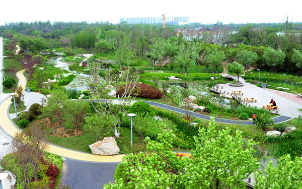 蒙城西片區(qū)中心公園