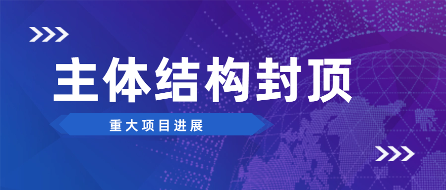 攜手共進(jìn) | 安徽遠(yuǎn)信監(jiān)理的坪深數(shù)字物流園項目主體結(jié)構(gòu)封頂